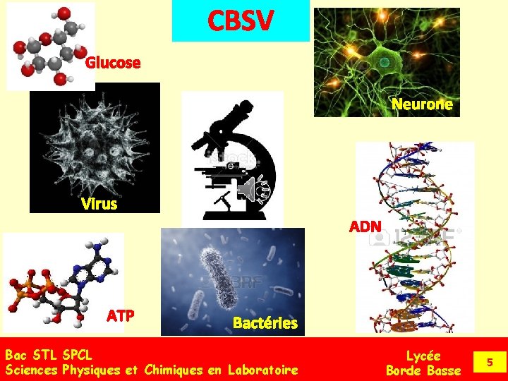 Prsentation du bac Sciences et Technologies de Laboratoire