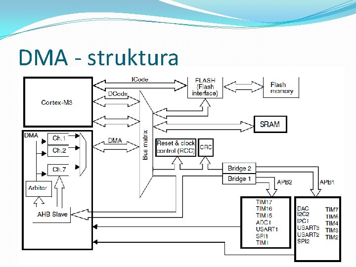 DMA - struktura 