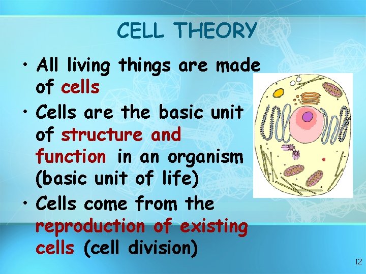 CELL THEORY • All living things are made of cells • Cells are the