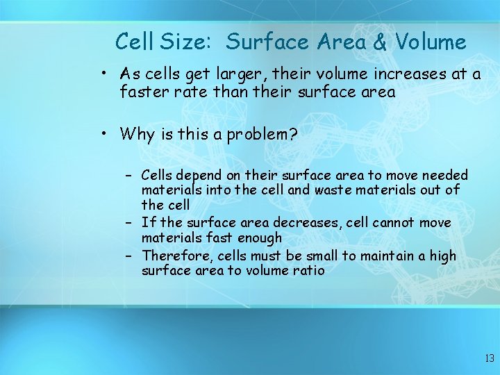 Cell Size: Surface Area & Volume • As cells get larger, their volume increases