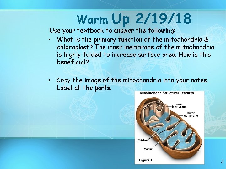 Warm Up 2/19/18 Use your textbook to answer the following: • What is the