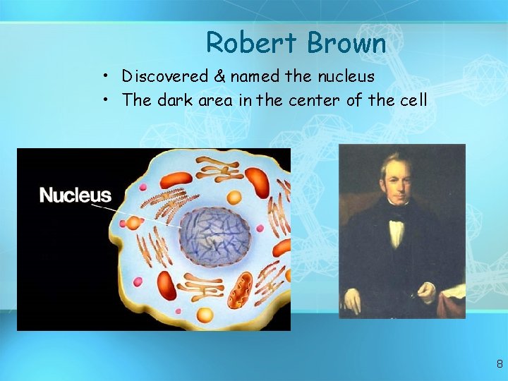 Robert Brown • Discovered & named the nucleus • The dark area in the