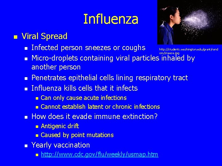 Influenza n Viral Spread n n Infected person sneezes or coughs http: //students. washington.