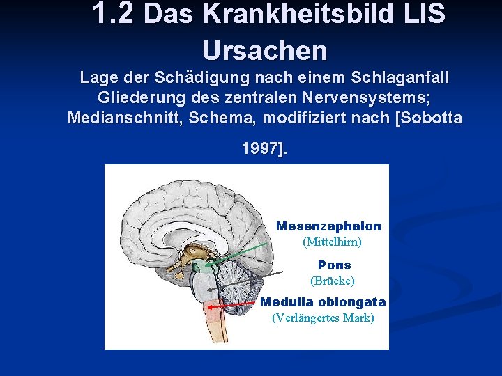 1. 2 Das Krankheitsbild LIS Ursachen Lage der Schädigung nach einem Schlaganfall Gliederung des