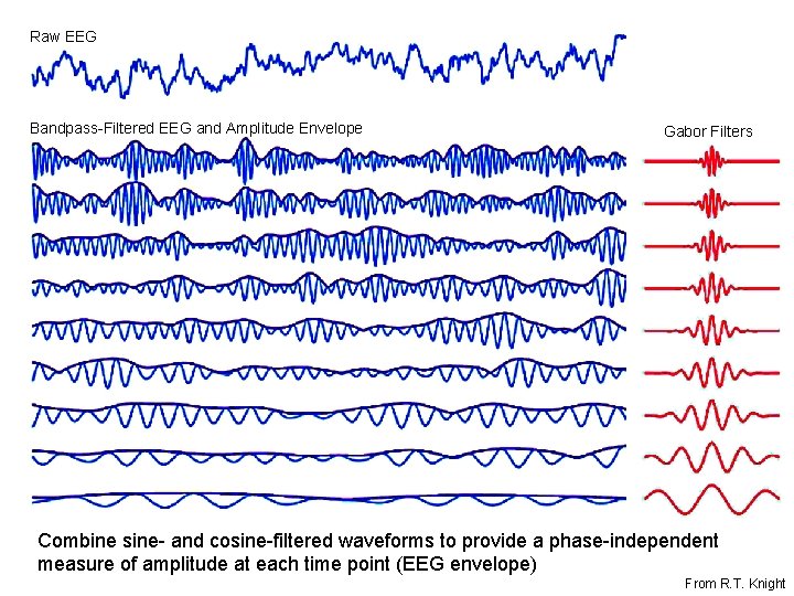 Raw EEG Bandpass-Filtered EEG and Amplitude Envelope Gabor Filters Combine sine- and cosine-filtered waveforms