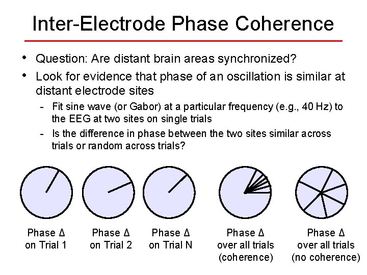 Inter-Electrode Phase Coherence • • Question: Are distant brain areas synchronized? Look for evidence