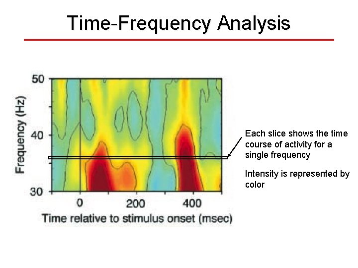 Time-Frequency Analysis Each slice shows the time course of activity for a single frequency