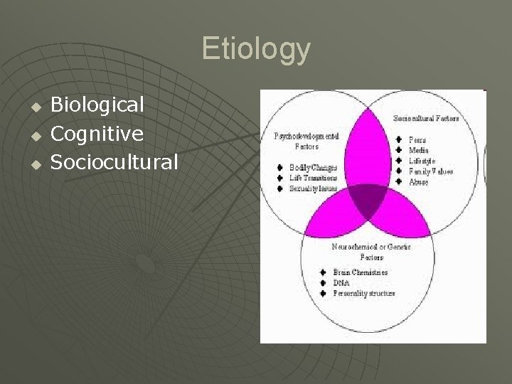 Etiology u u u Biological Cognitive Sociocultural 