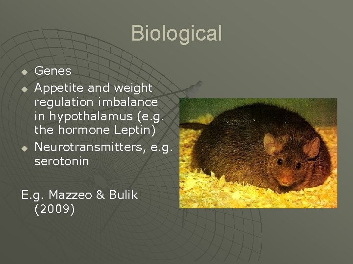 Biological u u u Genes Appetite and weight regulation imbalance in hypothalamus (e. g.