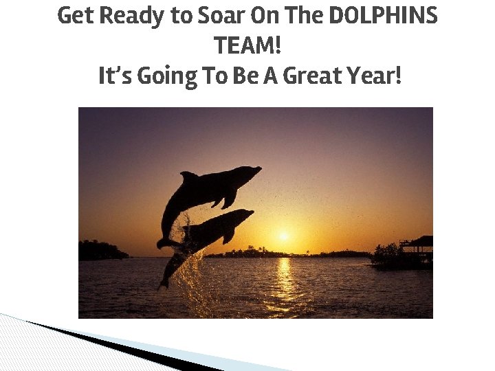 Get Ready to Soar On The DOLPHINS TEAM! It’s Going To Be A Great