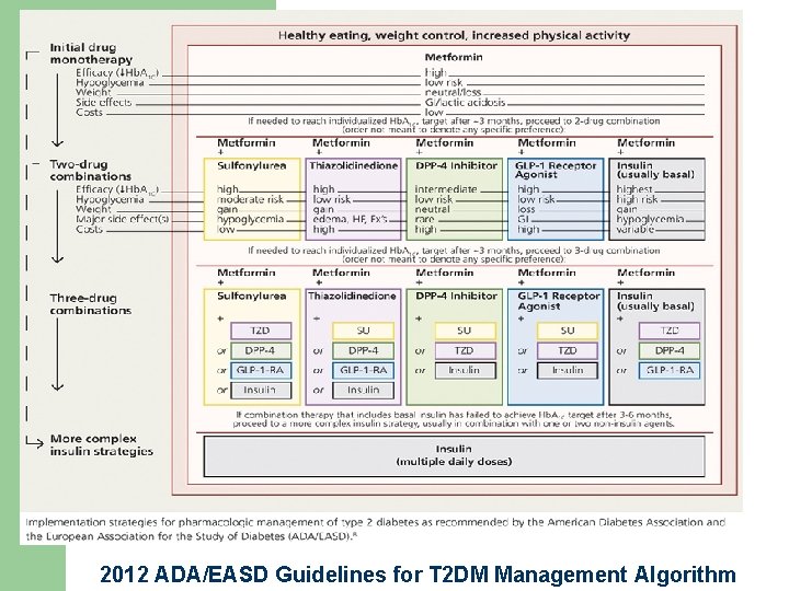 2012 ADA/EASD Guidelines for T 2 DM Management Algorithm 