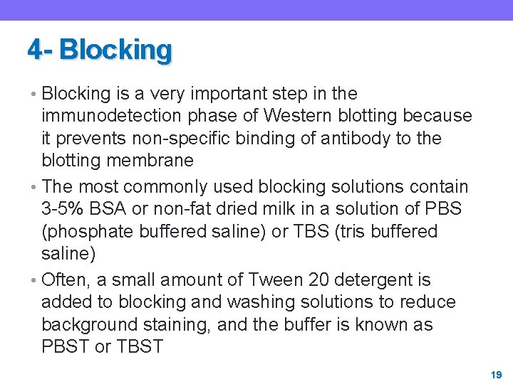 4 - Blocking • Blocking is a very important step in the immunodetection phase