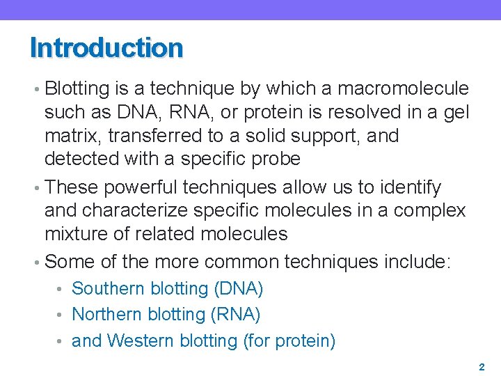Introduction • Blotting is a technique by which a macromolecule such as DNA, RNA,