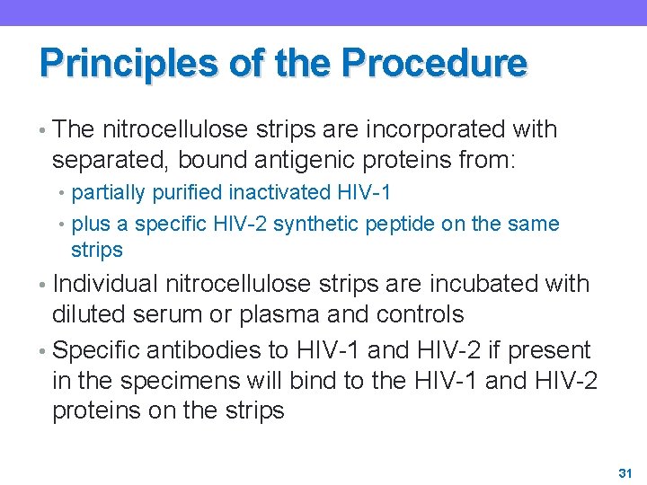 Principles of the Procedure • The nitrocellulose strips are incorporated with separated, bound antigenic