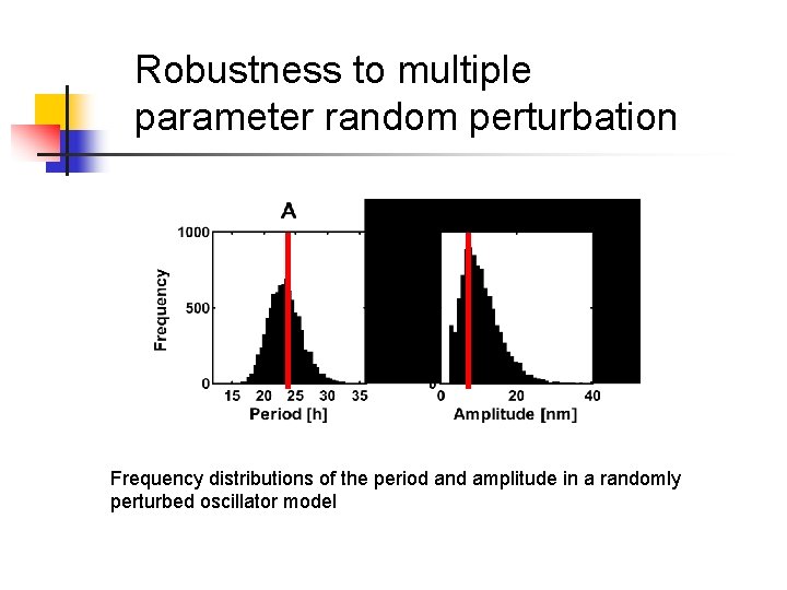 Robustness to multiple parameter random perturbation Frequency distributions of the period and amplitude in