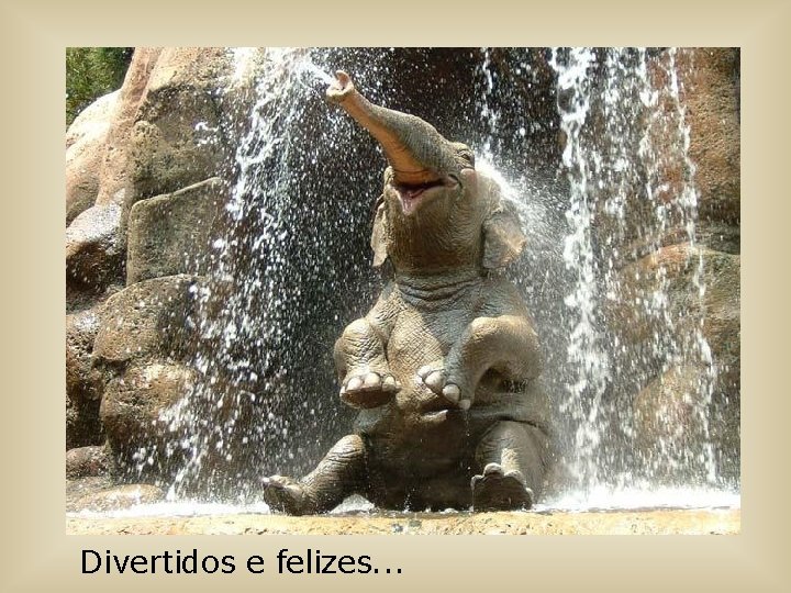 Divertidos e felizes. . . 