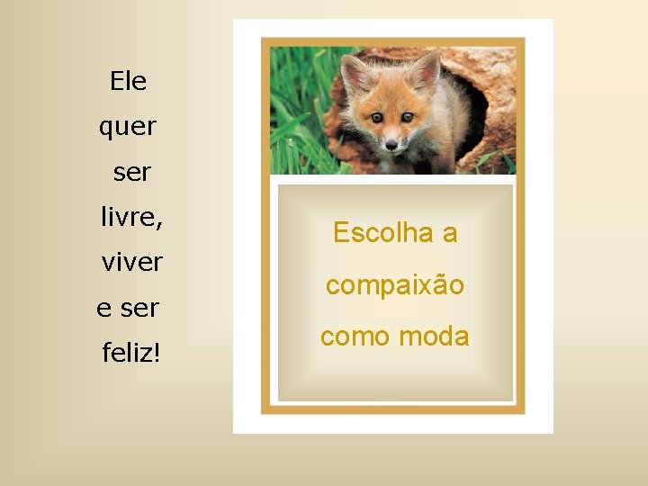 Ele quer ser livre, viver e ser feliz! Escolha a compaixão como moda 