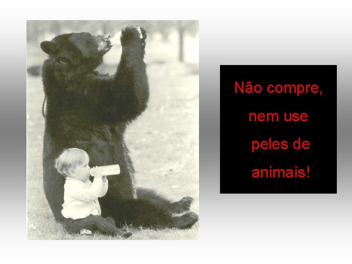 Não compre, nem use peles de animais! 