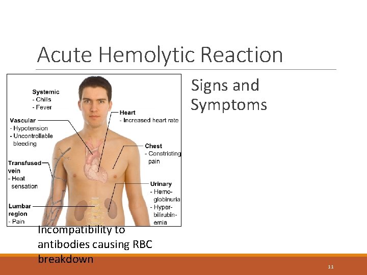 Acute Hemolytic Reaction Signs and Symptoms Incompatibility to antibodies causing RBC breakdown 11 