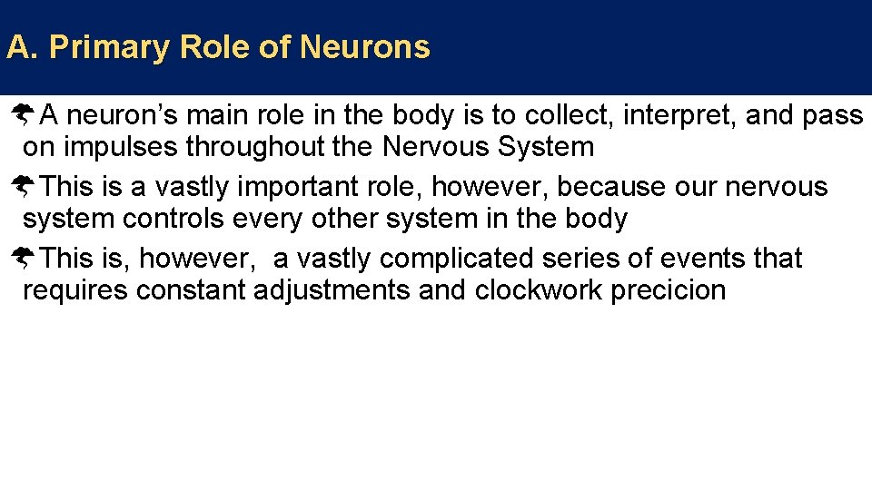 A. Primary Role of Neurons A neuron’s main role in the body is to