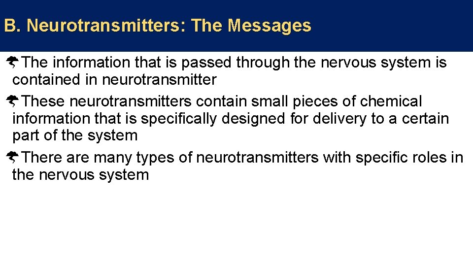 B. Neurotransmitters: The Messages The information that is passed through the nervous system is