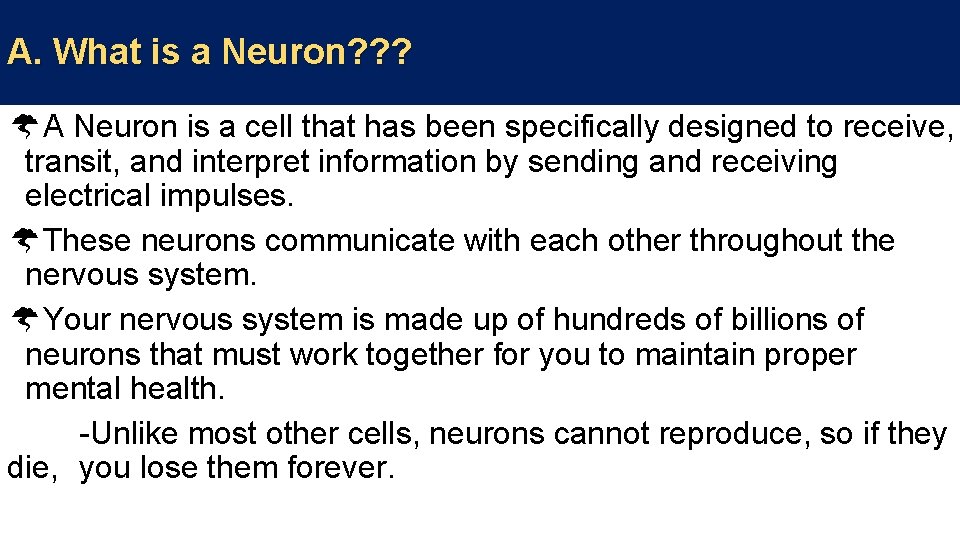 A. What is a Neuron? ? ? A Neuron is a cell that has