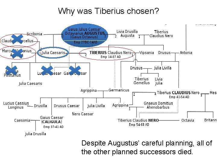 Why was Tiberius chosen? Despite Augustus’ careful planning, all of the other planned successors Why was Tiberius chosen? Despite Augustus’ careful planning, all of the other planned successors