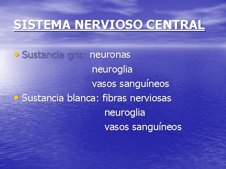 SISTEMA NERVIOSO CENTRAL • Sustancia gris: neuronas neuroglia vasos sanguíneos • Sustancia blanca: fibras
