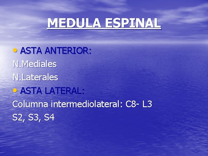 MEDULA ESPINAL • ASTA ANTERIOR: N. Mediales N. Laterales • ASTA LATERAL: Columna intermediolateral: