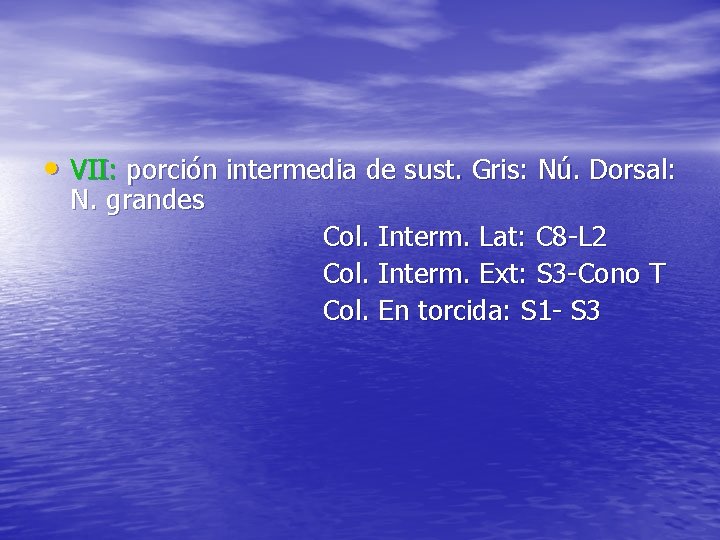  • VII: porción intermedia de sust. Gris: Nú. Dorsal: N. grandes Col. Interm.