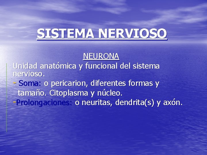 SISTEMA NERVIOSO NEURONA Unidad anatómica y funcional del sistema nervioso. - Soma: o pericarion,