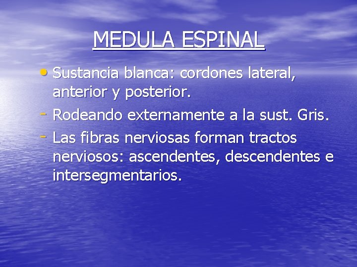 MEDULA ESPINAL • Sustancia blanca: cordones lateral, - anterior y posterior. Rodeando externamente a