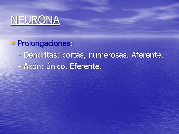 NEURONA • Prolongaciones: - Dendritas: cortas, numerosas. Aferente. - Axón: único. Eferente. 