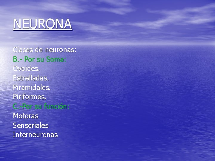 NEURONA Clases de neuronas: B. - Por su Soma: Ovoides. Estrelladas. Piramidales. Piriformes. C.