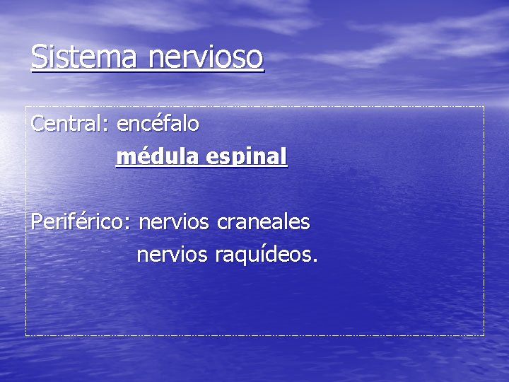 Sistema nervioso Central: encéfalo médula espinal Periférico: nervios craneales nervios raquídeos. 