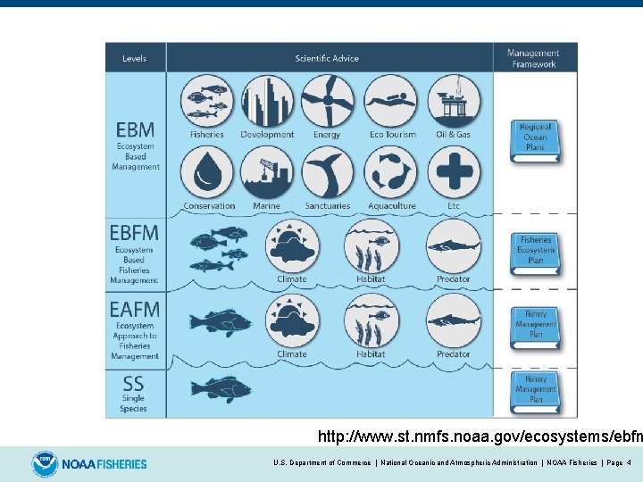 http: //www. st. nmfs. noaa. gov/ecosystems/ebfm U. S. Department of Commerce | National Oceanic