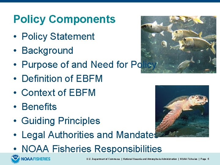 Policy Components • • • Policy Statement Background Purpose of and Need for Policy