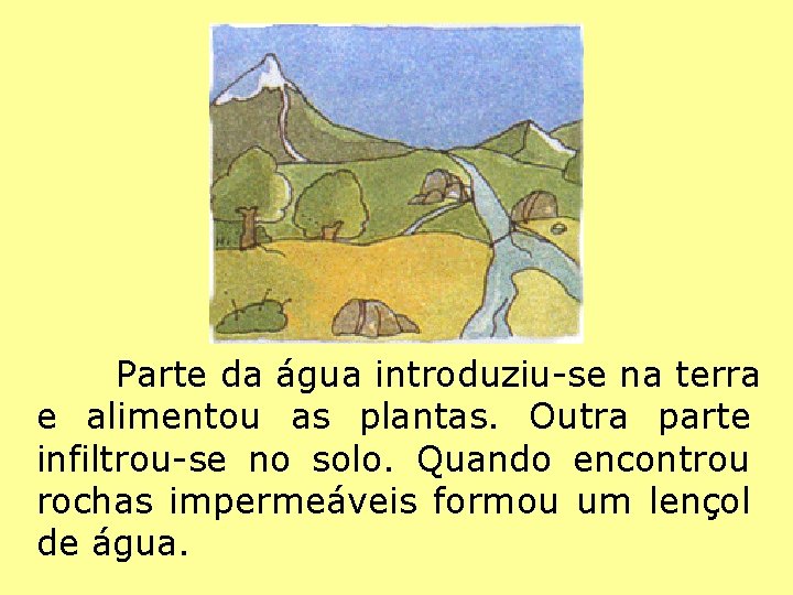 Parte da água introduziu-se na terra e alimentou as plantas. Outra parte infiltrou-se no