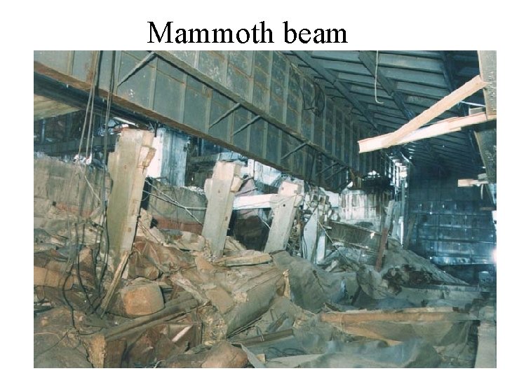 Mammoth beam 