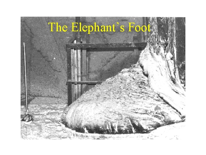 The Elephant’s Foot 