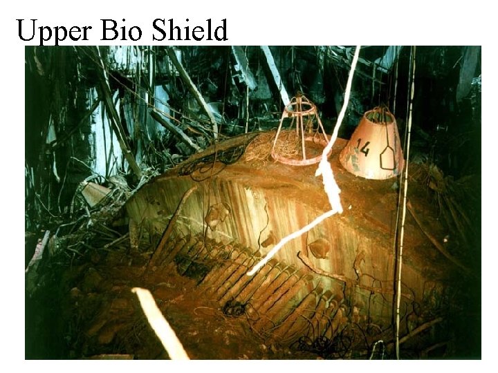 Upper Bio Shield 