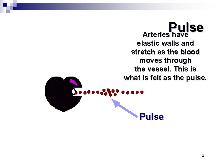 Pulse Arteries have elastic walls and stretch as the blood moves through the vessel.