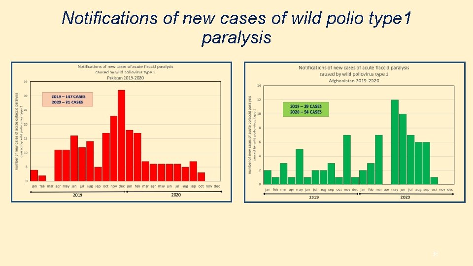 Notifications of new cases of wild polio type 1 paralysis 36 