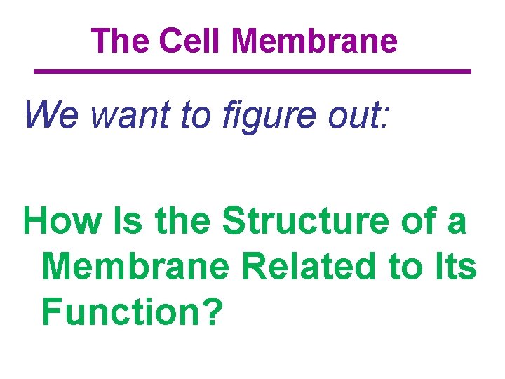 The Cell Membrane We want to figure out: How Is the Structure of a