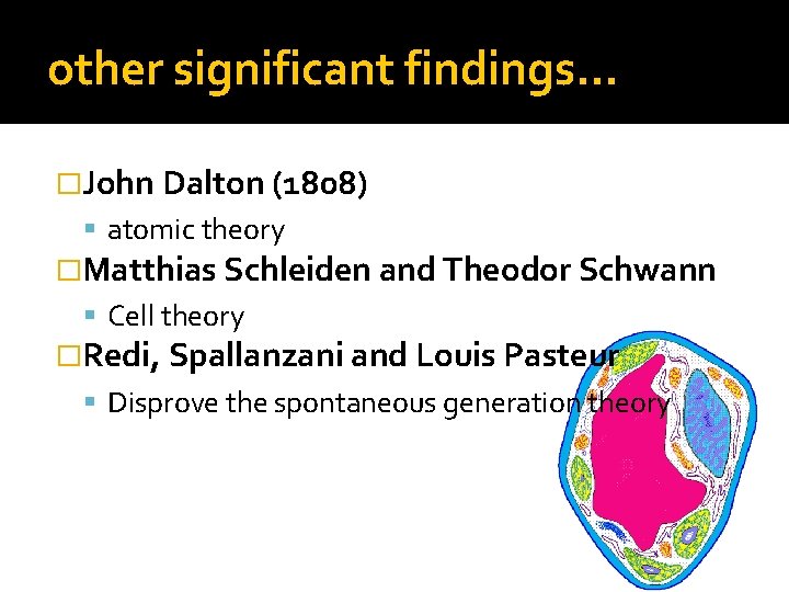 other significant findings… �John Dalton (1808) atomic theory �Matthias Schleiden and Theodor Schwann Cell