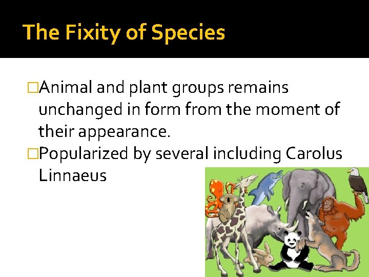 The Fixity of Species �Animal and plant groups remains unchanged in form from the