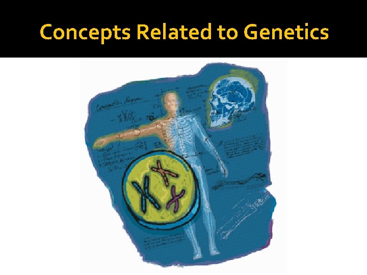Concepts Related to Genetics 