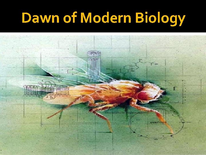 Dawn of Modern Biology 