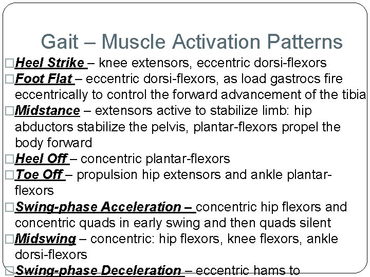 Gait – Muscle Activation Patterns �Heel Strike – knee extensors, eccentric dorsi-flexors �Foot Flat