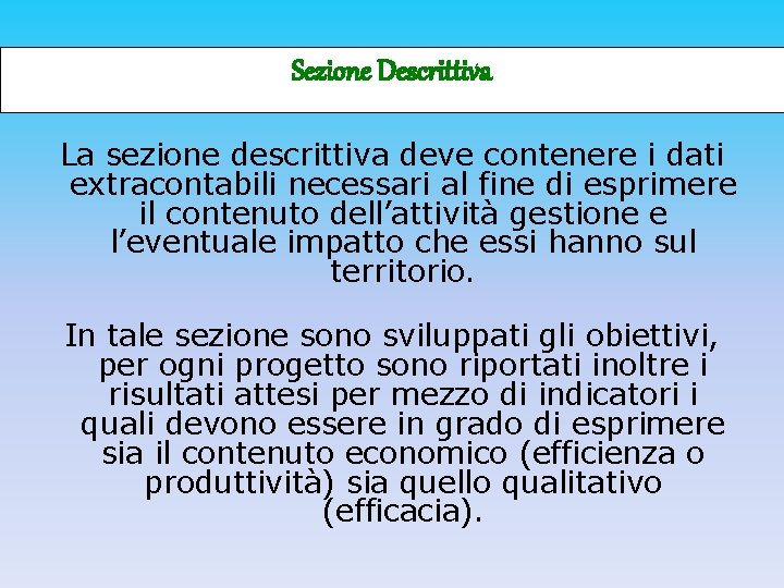 Sezione Descrittiva La sezione descrittiva deve contenere i dati extracontabili necessari al fine di